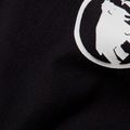 Bluza męska Mammut ML Hoody Original black 2