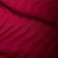 Bluza trekkingowa damska Mammut Taiss Light ML blood red/marine 10