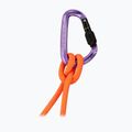 Karabinek Mammut Classic HMS Screwgate screw gate/alpine calamint 2
