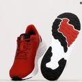 Buty do biegania męskie New Balance Fresh Foam Arishi V4 cromson 10
