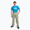 Spodnie wspinaczkowe męskie The North Face Routeset tea green 2