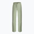 Spodnie wspinaczkowe męskie The North Face Routeset tea green 7