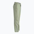 Spodnie wspinaczkowe męskie The North Face Routeset tea green 9
