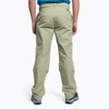Spodnie wspinaczkowe męskie The North Face Routeset tea green 4