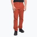 Spodnie wspinaczkowe męskie The North Face Project tandori spice red