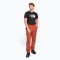 Spodnie wspinaczkowe męskie The North Face Project tandori spice red 2