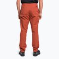 Spodnie wspinaczkowe męskie The North Face Project tandori spice red 4