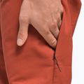 Spodnie wspinaczkowe męskie The North Face Project tandori spice red 6