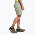 Spodenki wspinaczkowe męskie The North Face Project tea green 3