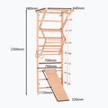 Drabinka gimnastyczna RINAGYM Sport 3 9