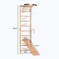 Drabinka gimnastyczna RINAGYM SPR A+SLIDE 3