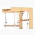 Drabinka gimnastyczna RINAGYM SPR B+SLIDE 6