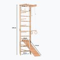 Drabinka gimnastyczna RINAGYM SPR B+SLIDE 10