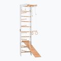 Drabinka gimnastyczna RINAGYM SPR B+SLIDE
