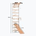 Drabinka gimnastyczna RINAGYM SPR A+SLIDE 2