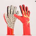 Rękawice bramkarskie PUMA Future Z:ONE Grip 1 NC fiery coral/fizzy light 8