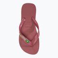 Japonki Havaianas Brasil Logo pau brasil 5