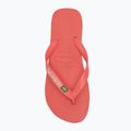 Japonki Havaianas Brasil Logo tropical coral 5