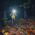 Kurtka softshell męska Black Diamond Dawn Patrol amber 9