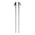 Kije trekkingowe Black Diamond Distance FLZ pewter