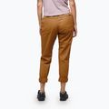 Spodnie wspinaczkowe damskie Black Diamond Notion SP moab brown 3