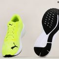 Buty do biegania PUMA Aviator Profoam Sky lime squeeze/puma white/puma black 14