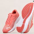 Buty do biegania PUMA Aviator Profoam Sky carnation pink/puma white 15