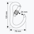 Karabinek wspinaczkowy CAMP Atom Lock blue 3
