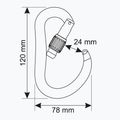 Karabinek CAMP Atom Lock gun metal 3