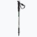 Kije trekkingowe Masters Summit Light green 6