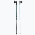 Kije nordic walking Masters Nordic Walking Pole Training