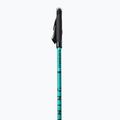 Kije nordic walking Masters Nordic Walking Pole Training 2