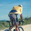 Spodenki rowerowe męskie Northwave Fast Rock Bibshort sand 4