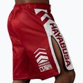 Spodenki treningowe Hayabusa Icon Fight red 3