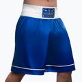 Spodenki treningowe Hayabusa Pro Boxing blue 2