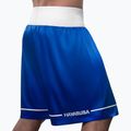 Spodenki treningowe Hayabusa Pro Boxing blue 3