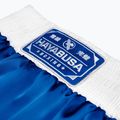 Spodenki treningowe Hayabusa Pro Boxing blue 5