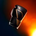 Rękawice bokserskie Hayabusa E1 Boxing black/gold 8