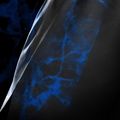 Spodenki treningowe męskie Hayabusa X UFC BJJ Grappling blue 4