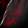 Spodenki treningowe męskie Hayabusa X UFC BJJ Grappling red 4