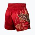 Spodenki treningowe Hayabusa Falcon Muay Thai red 2