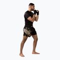 Spodenki treningowe męskie Hayabusa Falcon Muay Thai black 4