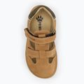 Sandały dziecięce Primigi PWN 79073 dark tan 5