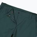 Spodnie trekkingowe damskie CMP 32T4146 Unlimitech Stretch trek green 4