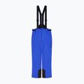 Spodnie narciarskie męskie EA7 Emporio Armani Pure Protectum 7 new royal 6