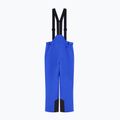 Spodnie narciarskie męskie EA7 Emporio Armani Pure Protectum 7 new royal 7