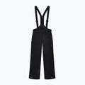 Spodnie narciarskie męskie EA7 Emporio Armani Pure Protectum 7 black 7