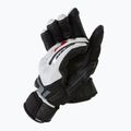 Rękawice narciarskie męskie Dainese Hp lily white/stretch limo
