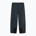 Spodnie narciarskie męskie Oakley Baldface Pro Gore-Tex graphite 7