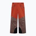 Spodnie narciarskie męskie Oakley Canopy Pro Insulated Dark Umber/Flame Red 6